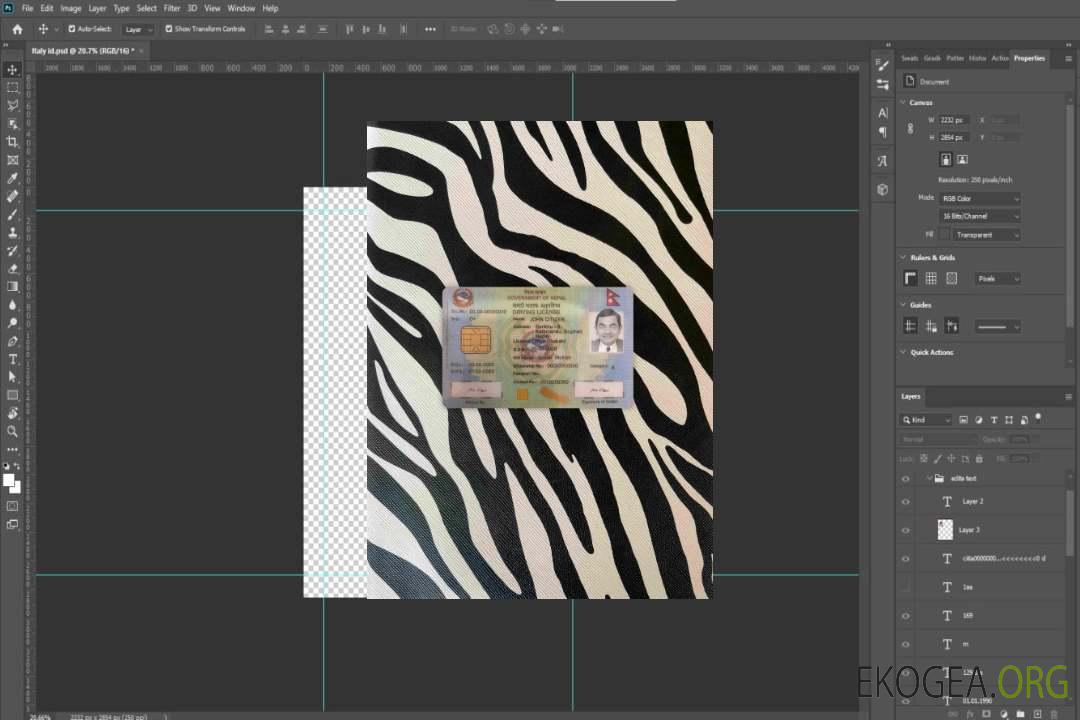 Permis de conduire népalais version 2 photolook AVANT template